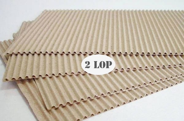 Tấm carton 2 lớp