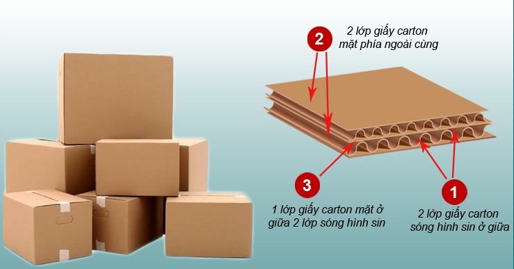 Carton 5 Lop