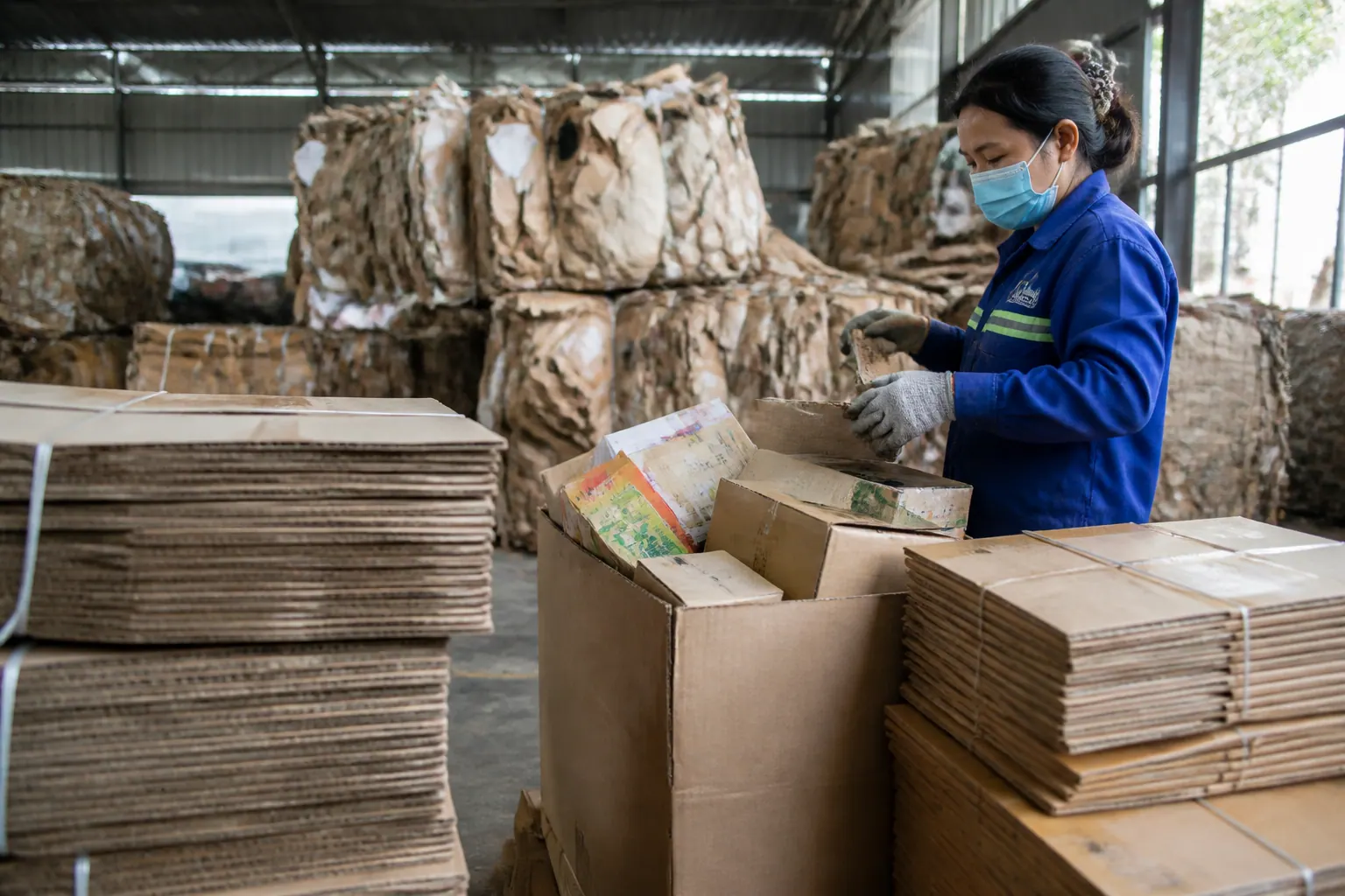 Phân loại bao bì carton tái theo nguồn gốc và cấu trúc